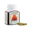 Thanyaporn Herbs Lingzhi Capsule, Капсулы для иммунной системы с грибом Линчжи, 100 шт
