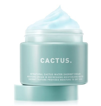 So Natural Cactus Water Sherbet Cream, Освежающий крем-щербет с экстрактом кактуса, 80 гр